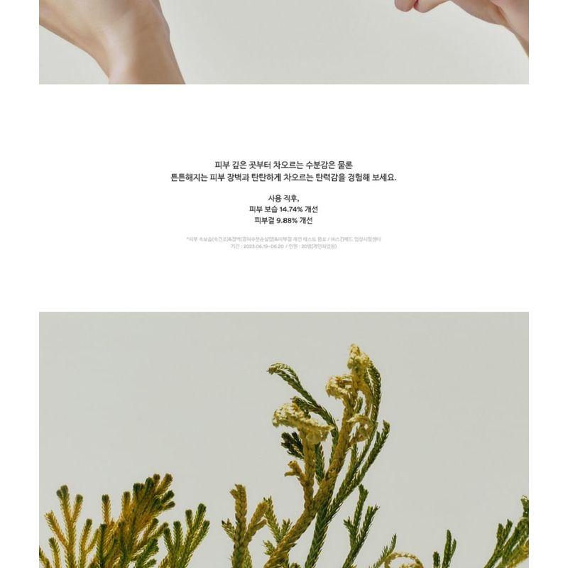 Abib - Jericho Rose Bifida Serum Firming Drop