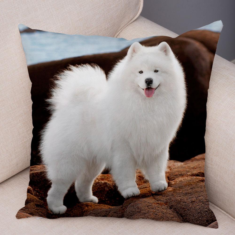 50 Stil Husă de Pernă Câine Alb Drăguț Samoyed Decor Husă de Pernă Animal de Companie Iubitor Husă de Pernă Moale de Pluș pentru Canapé Cameră Copii