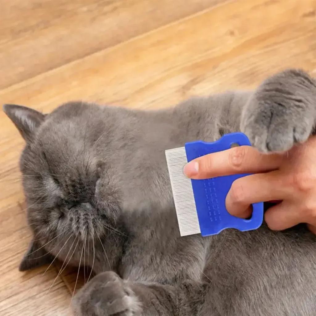 6 Pcs/set Pet Flea Comb Stainless Steel Head Lice Comb Cat Grooming Comb Removes Mucus and Crust Small Lice Flea Comb