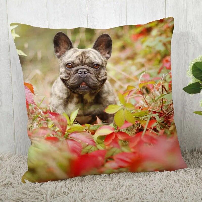 Pillowcase Bulldog  Modern Home Living Room Decoration