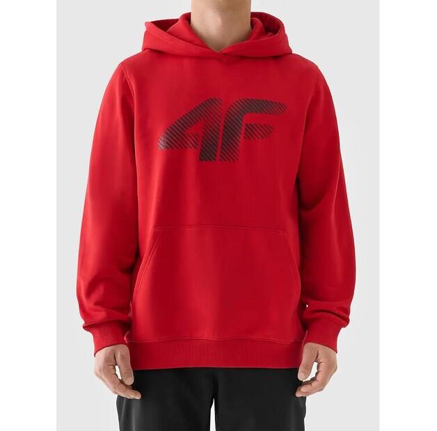 Толстовка 4F 4FWMM00TSWSM1766-062S