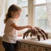 Spinnen-Plüschtier 20cm Weiches Kuscheltier Puppe Realistischer Gruseliger Kuschelfreund
