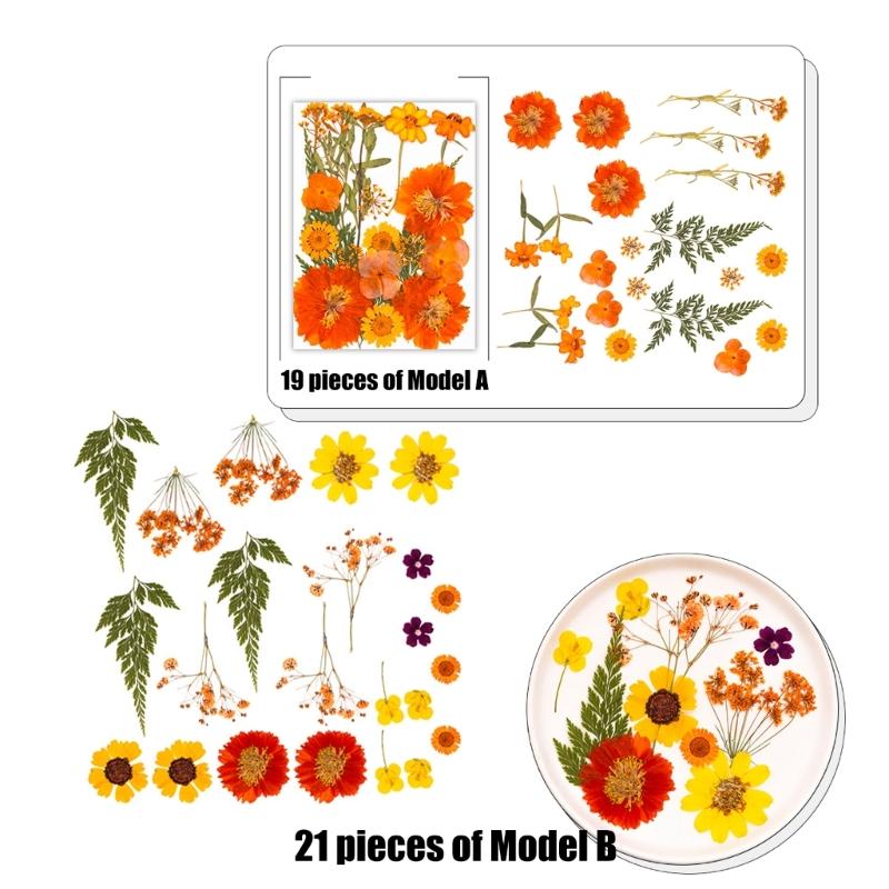 Natural Dried Flower For Epoxy Resin Molds Dry Flowers and Leaves Set for Art Craft Candle Jewelry Making Scrapbooking