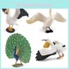 Wildlife Pelican Peafowl Animal Pvc Models For Kids Educational Decor And Toys