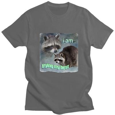 I Am Trying My Best Raccoon Meme T Shirt Funny Print Men Women T-shirt Loose Leisure Fashion Short Sleeve Cotton Cozy T Shirts
