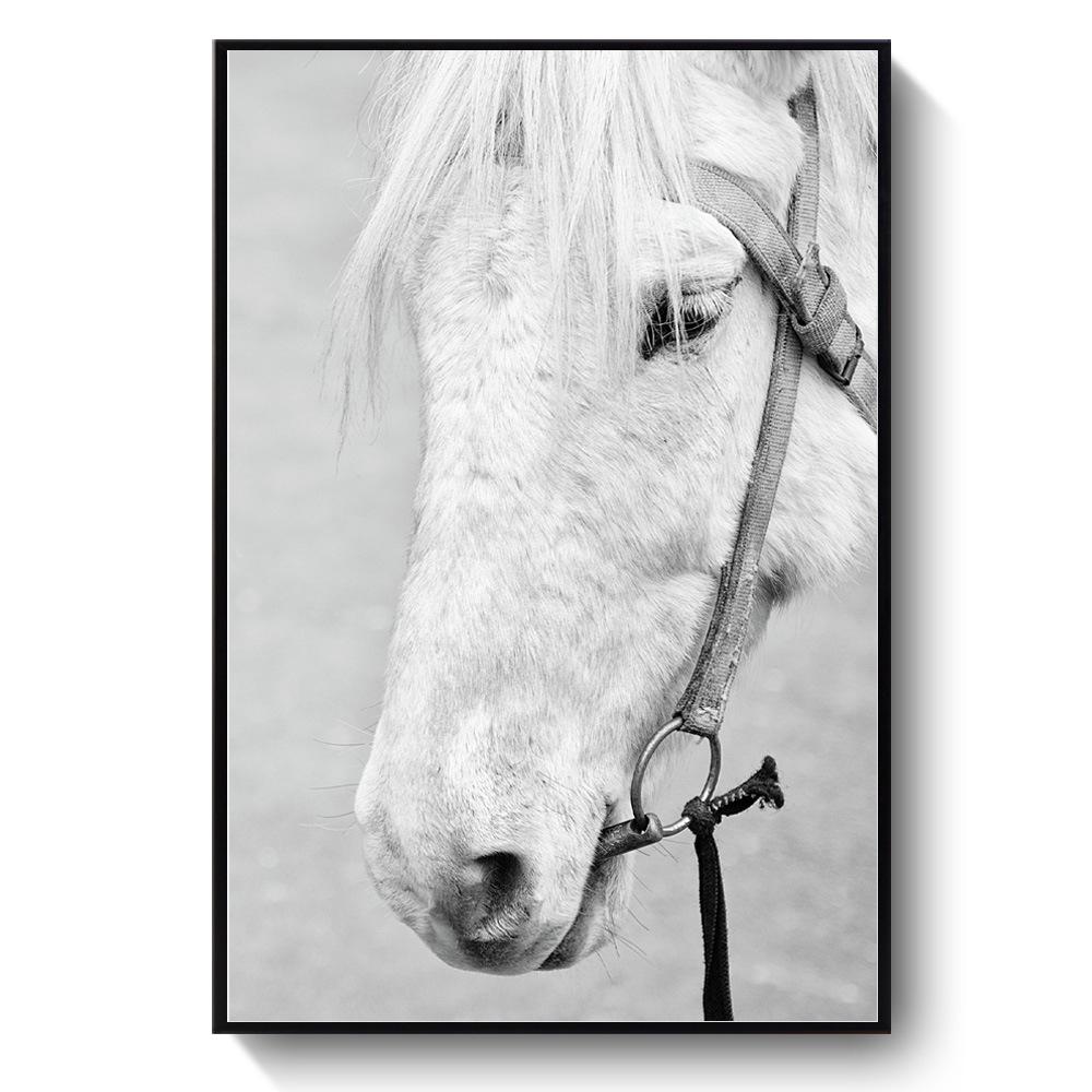 Living Room Decoration Painting Horse Sofa Background Secret Nordic Hanging Canvas Art Painting Black and White Horse Animal