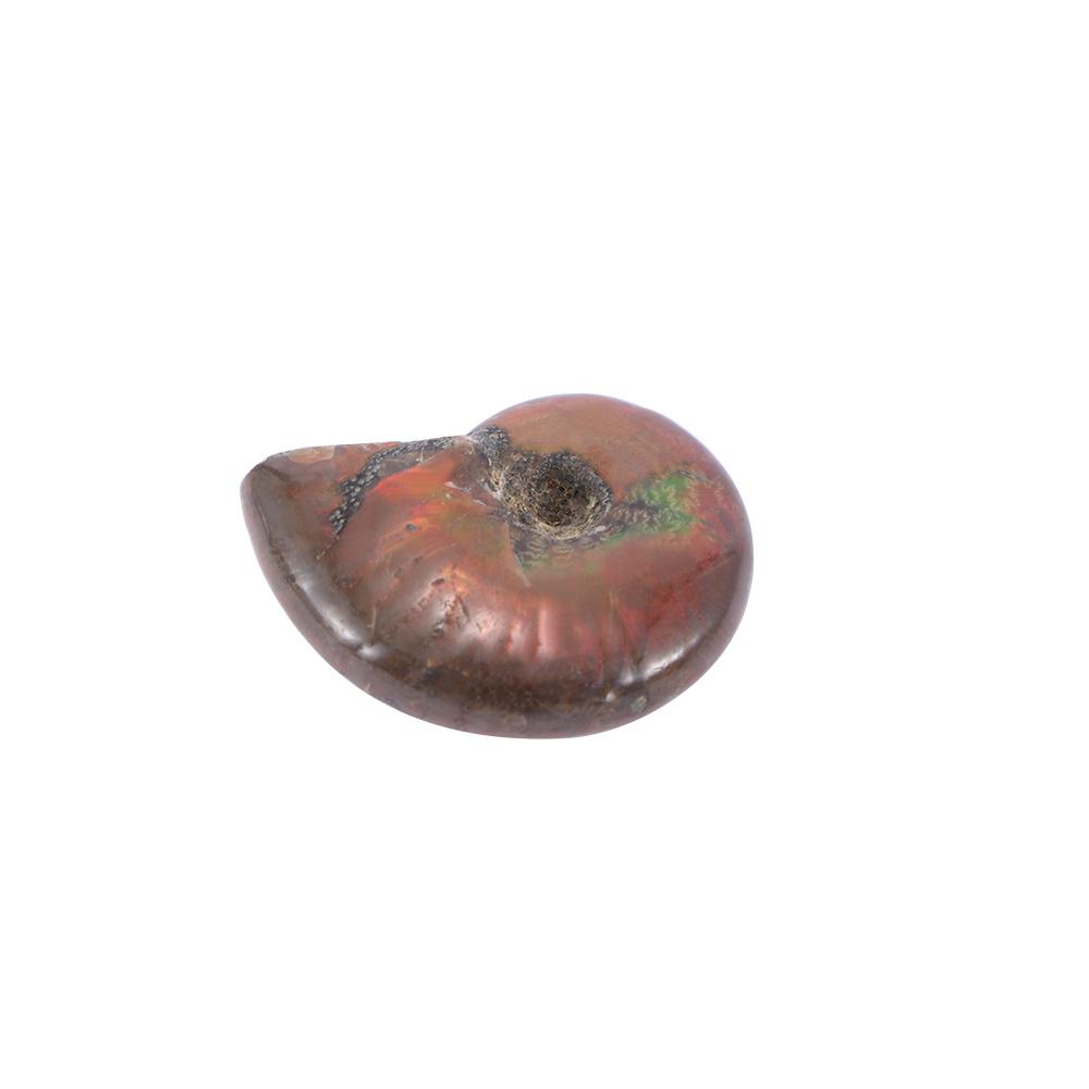 Luck Madagascar Stone Gifts Mascot Iridescent Specimen Ammonite Natural