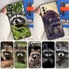 Waschbären-Hülle Für Samsung Galaxy A13 A35 A15 A55 A53 A33 A36 A56 A26 A16 A22 A32 A52 A54 A34 A05 A06