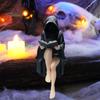 Halloween Dekor Statue Mädchen mit schwarzer Robe Schmuckstück, Dunkler Stil, mit ausbalancierter Schmuckbasis Sitzende Figur, Langlebiges PLA Detaillierte Textur Geheimnis