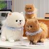 Cute Pomeranian doll plush toy puppy dog doll children accompany soothing rag doll birthday gift