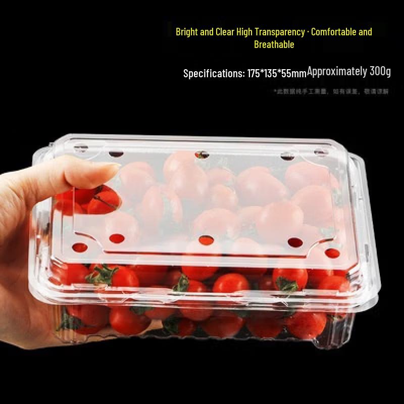Tiemuyun Disposable Transparent Fruit Containers