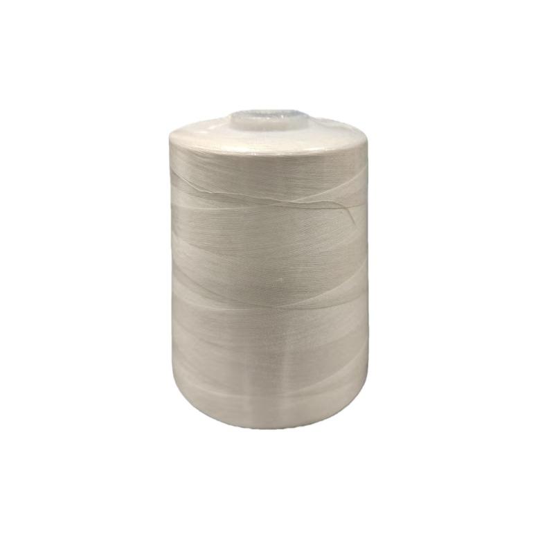 Household Sewing Thread Pagoda Thread Color 402 Sewing Machine Thread Hand Sewing Clothes Thread Flat Car Polyester Fine White Thread
