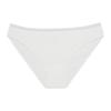 Collige Bloovii Briefs