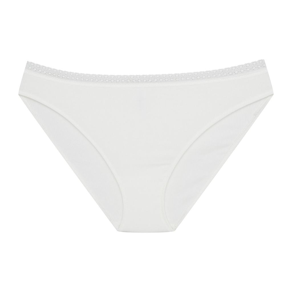 Collige Bloovii Briefs