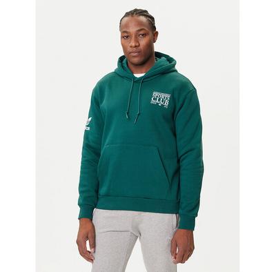 Adidas Graphic Hoodie