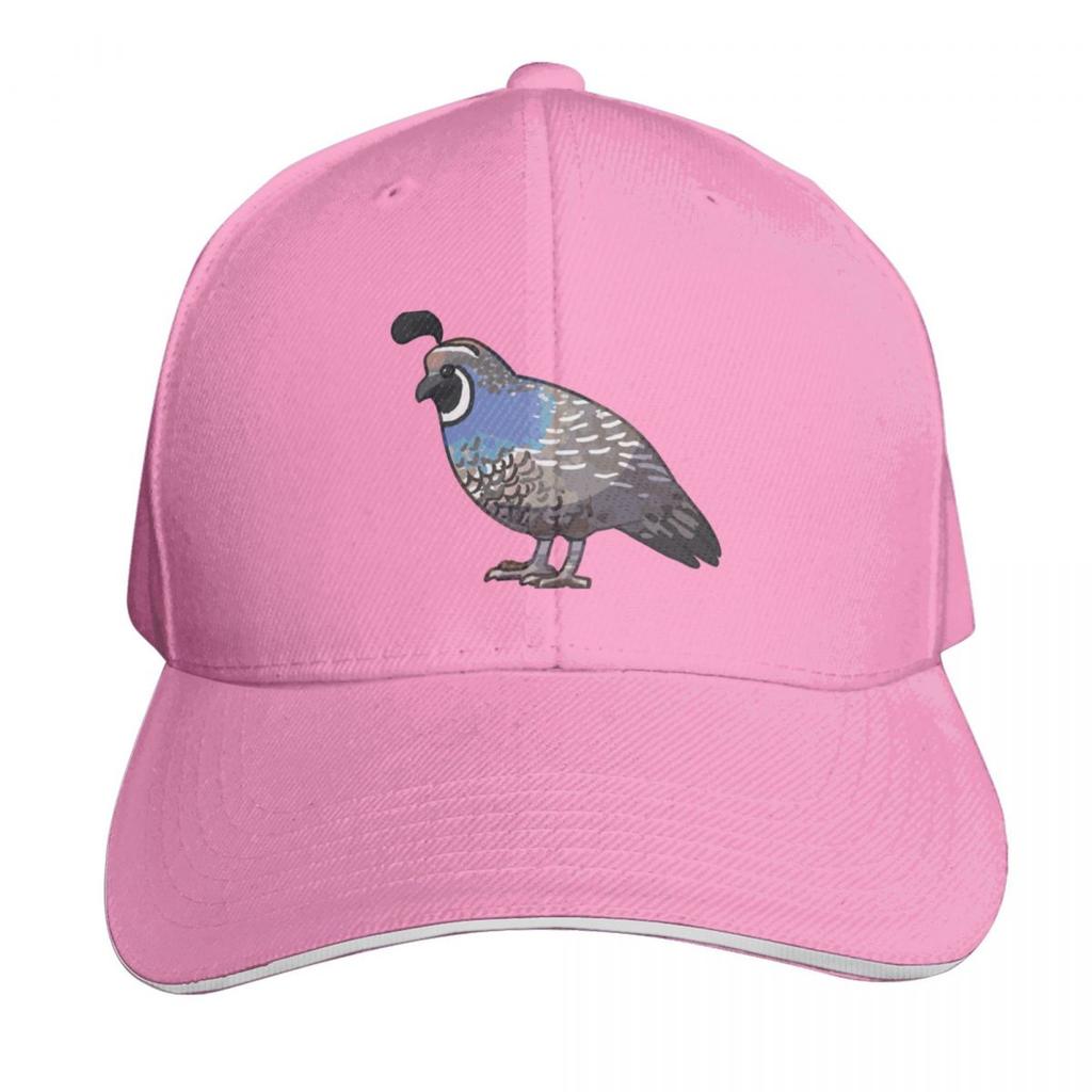 California Quail Baseball Cap Christmas Hat Unisex Hat Streetwear Fishing Hat Womens Beach Visor Unisexs