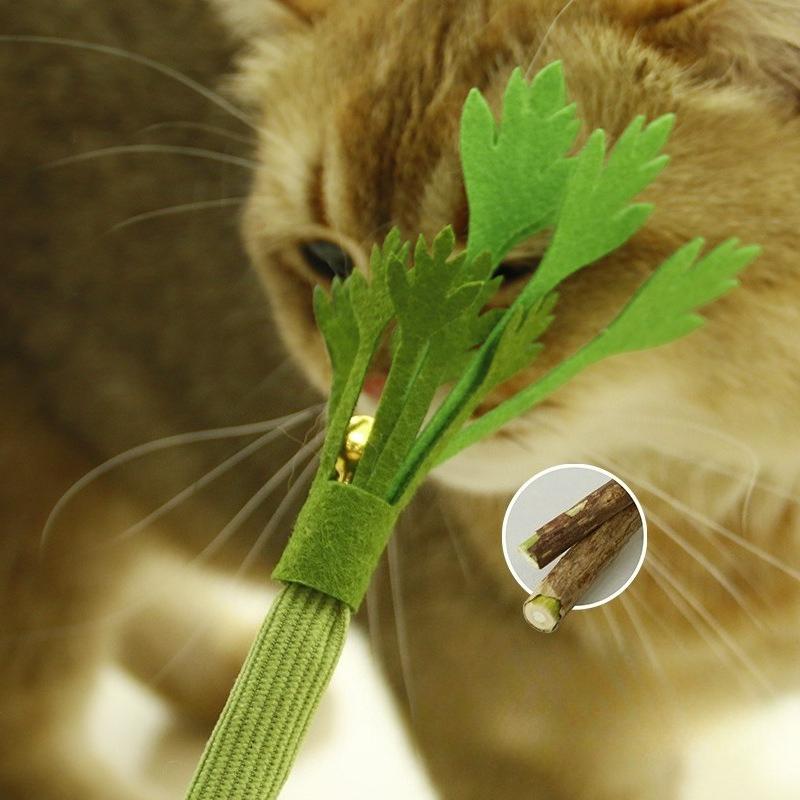 Cat Chew Toys Interactive Self High Catnip Molar Stick Bite with Bell Cats Toy Kitten Toy Natural Catnip Cat Teeth Cleaning Toy