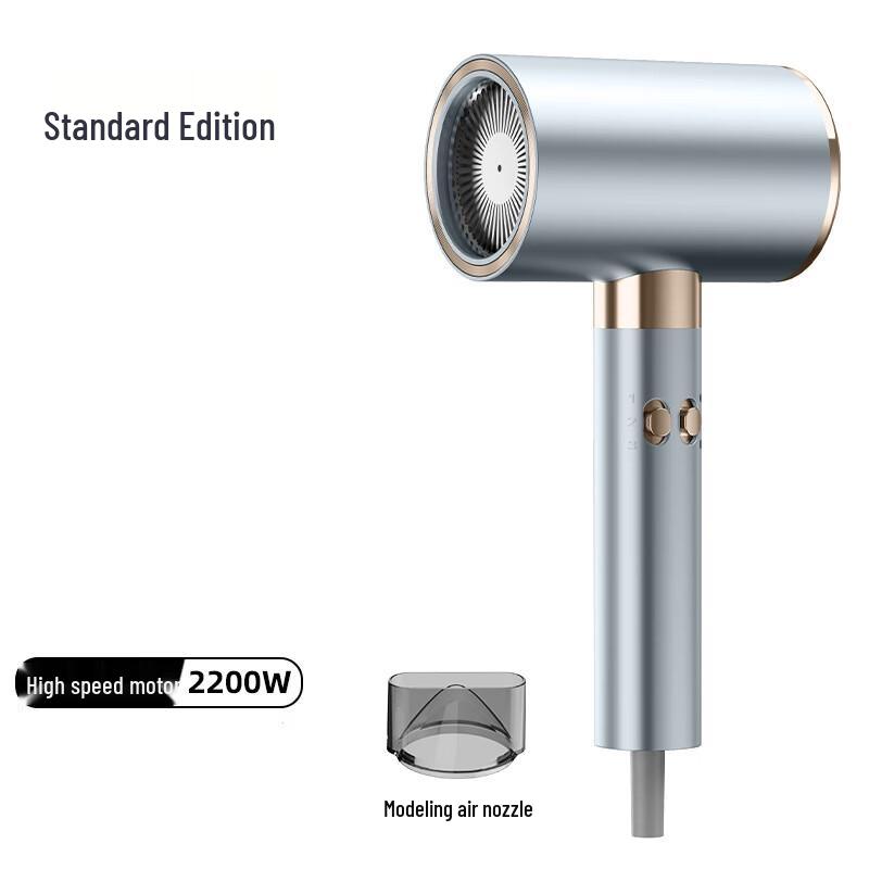 Professional Hair Dryer
