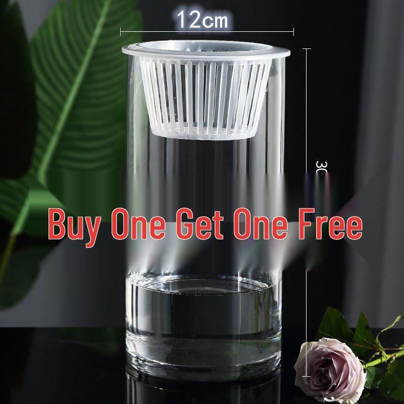Hydroponic Glass Cylinder Vase for Pothos & Peace Lily - Transparent Water Culture Container with Free Shipping.
