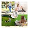 AmzBarley Dog Clothes Shirt, Spring, Striped Bear Print, Made of Cotton, Sleeveless, Dog Clothes, Small Dogs, Spring/Summer Tank Top, Cute, Popular,