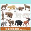 High Quality Static Animal Figurine Collection Includes Cougar Raccoon Bear And More