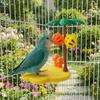 Wear Resistant Bird Perch Stand Detachable Birdcage Platform Toys Bird Gnawing Toys  For Chewing