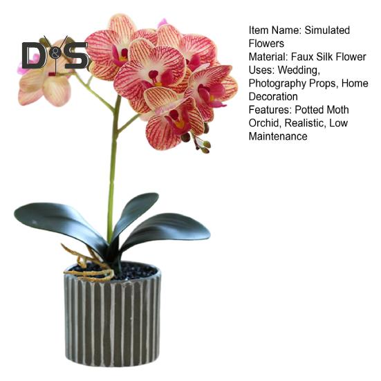 Artificial Potted Plant Faux Moth Orchid Bonsai Desktop Artificial Potted Phalaenopsis Flowers for Home Dining Table Office Desk Decoration