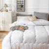 Caiyang All-Season Velvet Duvet