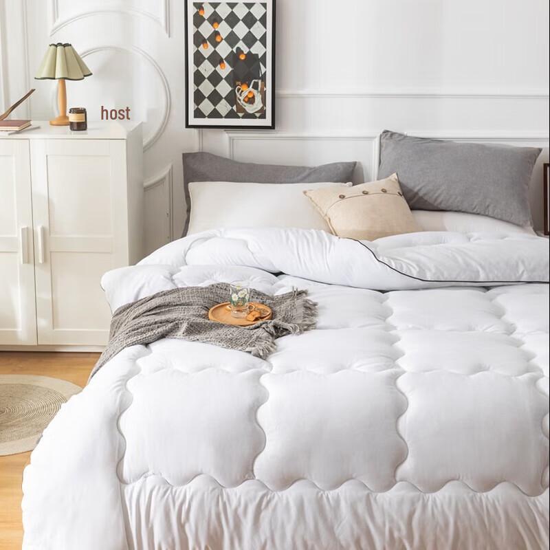 Caiyang All-Season Velvet Duvet
