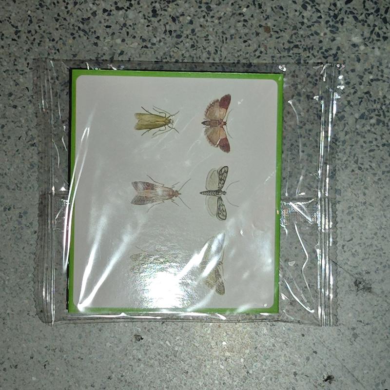Pièges à mites adhésifs pour garde-manger, cuisine et vêtements, avec phéromones, pièges à mites pour placards à vêtements Prime, attrape-mites magique