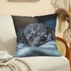 1pc Pillowcase, Cute Gray Poodle Close-Up Design, Zipper Closure, Machine Washable, 45Cm X 45Cm, Soft Smooth Polyester Short Plush Fabric, Single-Side