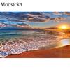 Mocsicka Natural Scenery Photography Background Sunny Beach Decoration Portrait Backdrop  Professional Prop Studio