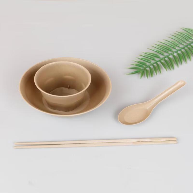 Disposable Ceramic Tableware Set