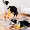 Köpek – Köpek bakım ürünleri