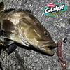 Berkley SW Salty Nipper Camo Ideal for Black Sea and Bass Gulp! 3.5 G2SSN3.5-C (Scented Liquid) - Bream, Rockfish,