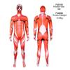 Halloween Mega Giant 5 Anime Cosplay Stage Costume Attack Giant