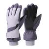 New Stylish Women Custom Logo Windproof Waterproof Winter Warm Thermal Touchscreen Snowboarding Ski Gloves