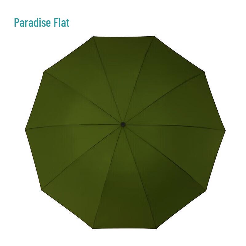 Heaven Automatic 10-Rib Windproof Business Umbrella