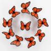 Pretty New 10Pcs 4.72 In Bedroom Butterfly Decoration Stickers Fakes Butterflies For Crafts Artificial Wall 3D Home Decorative