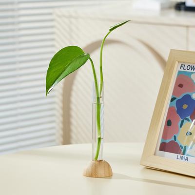 1 Deney Tüpü Hidroponik Dekoratif Vazo, Oturma Odası Çiçek Aranjmanı, Düşmeye Karşı Plastik Dekoratif Hidroponik Şişe