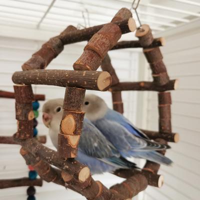 Juguete para Trepar para Loros Alta Durabilidad Natural Cambia de Forma Libremente Resistente a Mordiscos Instalación Sencilla