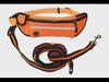 Reflective Waterproof Pet Running Waist Bag with Leash