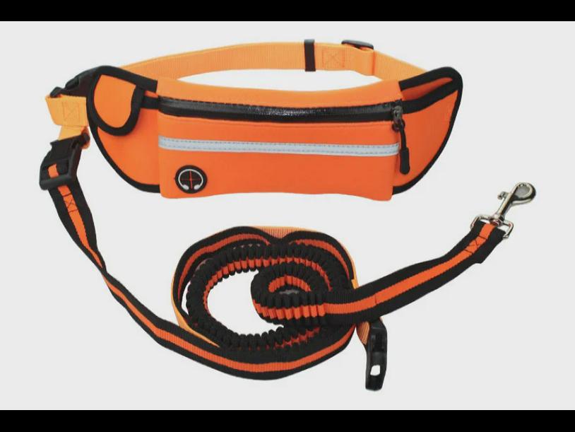 Reflective Waterproof Pet Running Waist Bag with Leash