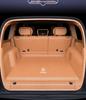 2026 Tank 500 Trunk Mat - New Energy Tail Box Interior Accessories