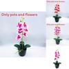 Phalaenopsis Aphrodite Rchb Decorative Fake Plant With Silk Flowers For Table Centerpieces And Gift