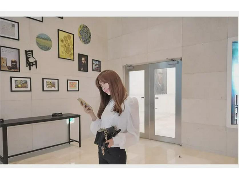 Bluză șic de damă din șifon plisat cu mâneci felinar