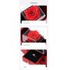 Preserved Flower Necklace Set In Box for Girlfriend Wife Anniversary Valentines Birhtday Gifts and Home Decoration