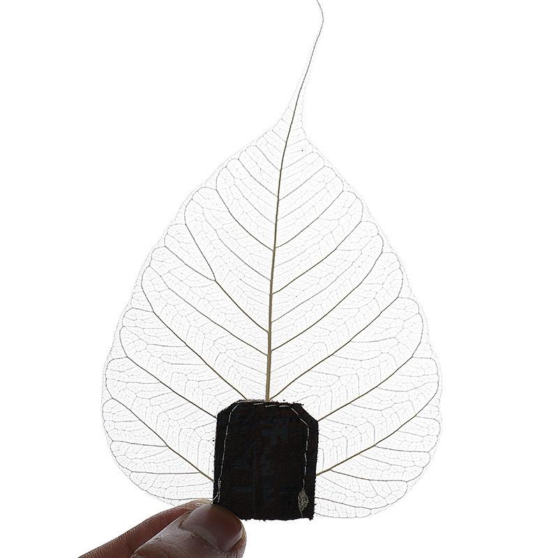 1ks sítka na čaj Leaf Filter Tvar listu Bodhi únik kung-fu čajový infuzér přístup Hollow Out The Leaves Osobnost