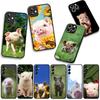 Anime Cute Pig Funny Phone Case for Samsung Galaxy A25 A37 A57 A12 A14 A31 A41 A50 A51 A70 A71 A72 A21S A04 M15 Note 20 9 8 10