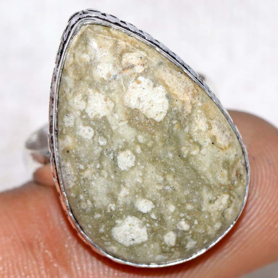 Picture Jasper 925 Silver Plated Ring US 9 Thank You Gift New Year Vibes K9r74